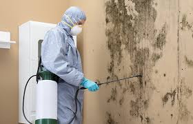 Mold Remediation for Rental Properties in Gordon Heights, NY